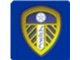 leeds badge.jpg